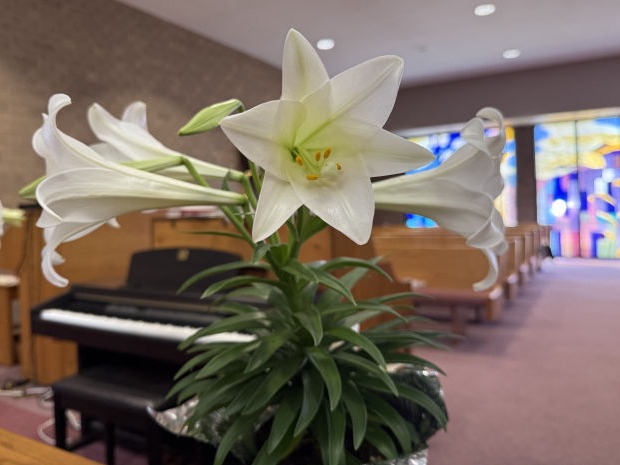 Wallingford Lutheran Church Iowa ELCA Christmas Tree Stained Glass Morphew Photo